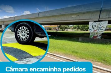 REIVINDICAÇÕES