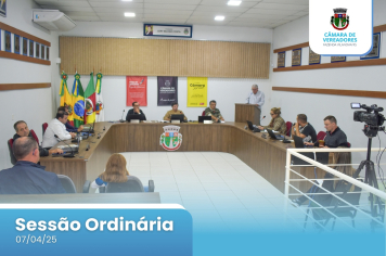11ª SESSÃO ORDINÁRIA DE 2025