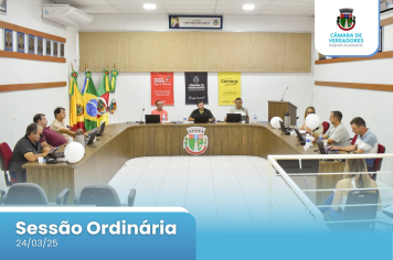 11ª SESSÃO ORDINÁRIA DE 2025