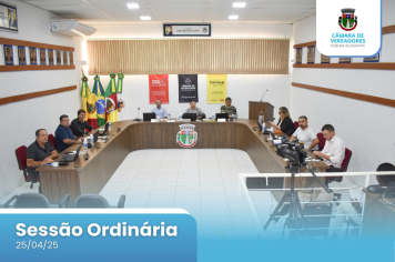 15ª SESSÃO ORDINÁRIA DE 2025