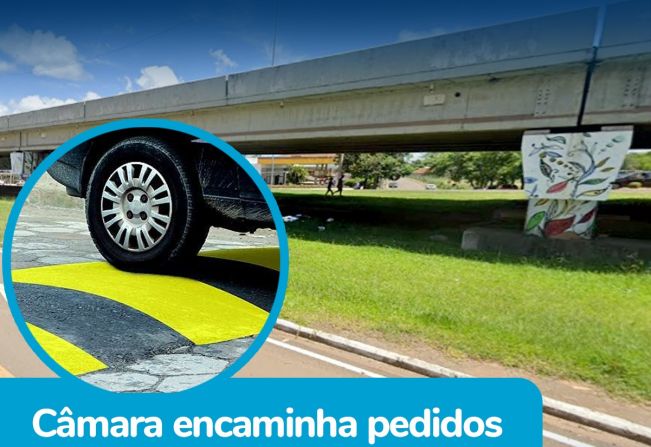 REIVINDICAÇÕES