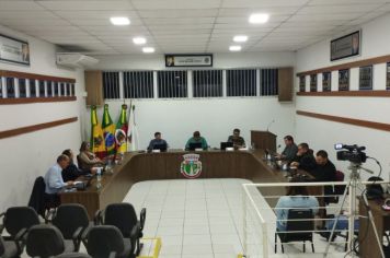 17ª SESSÃO PLENÁRIA DE 2024