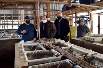 Piscicultura: Fazenda Vilanova reconhecida no mapa da piscicultura estadual