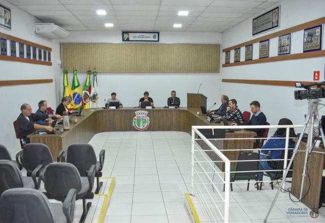 29ª Sessão plenária de 2024