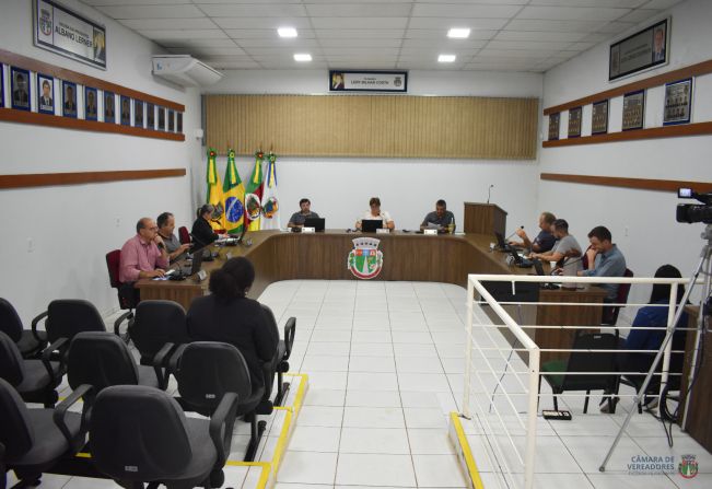 30ª Sessão plenária