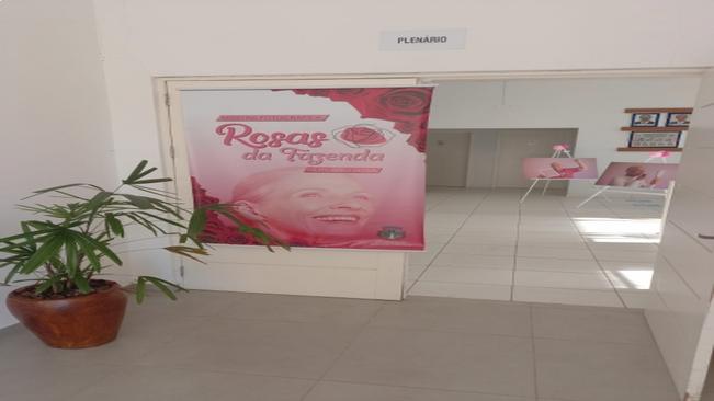 Câmara recebe a Mostra Fotográfica: Rosas da Fazenda